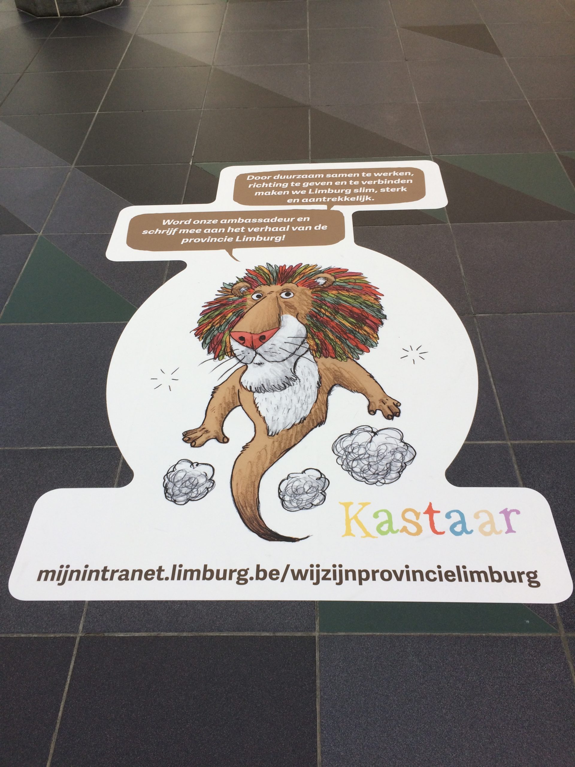Provincie-Limburg illustratie