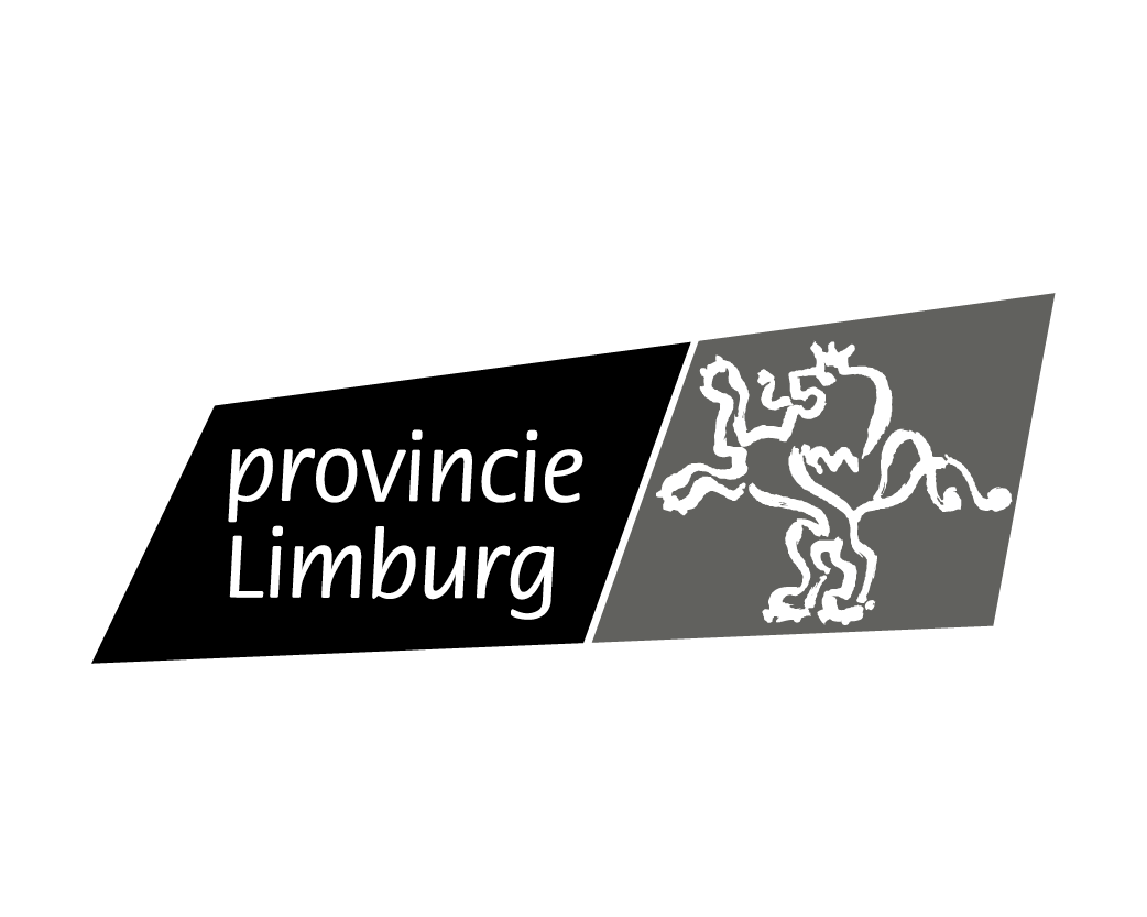 Logo provincie Limburg, België met leeuw symbool.
