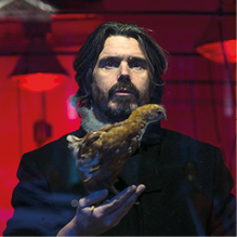 Man houdt vogel vast bij rode achtergrond.
